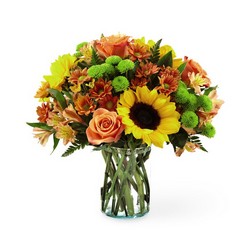 Autumn Splendor Bouquet from Lloyd's Florist, local florist in Louisville,KY